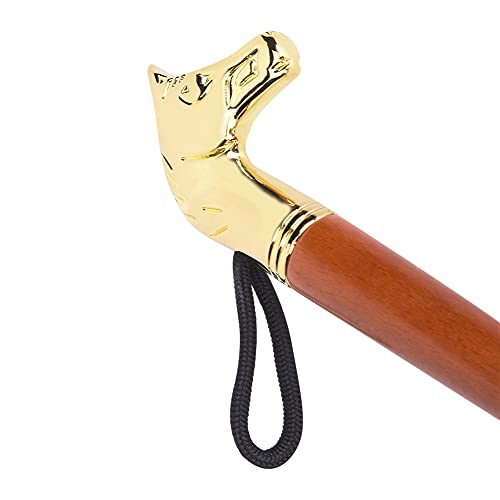 Shipenophy Calzascarpe, Alzascarpe Manico Lungo in...