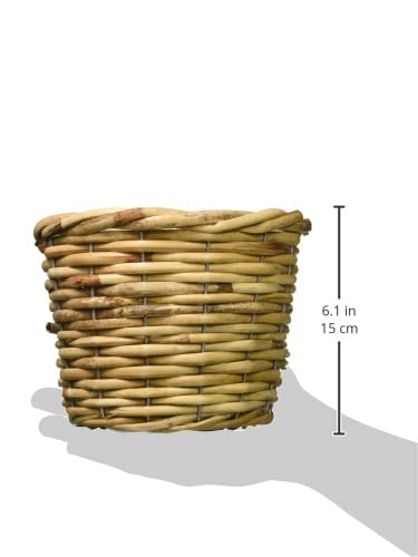 Amazon.com: 大橋新治商店 Ohashi Shinji Shoten 13-244 Pot