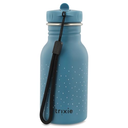 Trixie - Trinkflasche für Kinder aus Edelstahl, 350 ml (Mr. Triceratops)