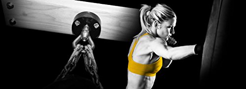 The Silencer Heavy Bag Mount, Safely Mount Heavy Punching Bags up to 300lbs in Any Room. Reduce Noise & Vibration 58% - Increases Structural Strength. Built for Professionals with Precision Bearing.