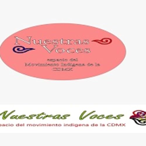 Nuestras Voces 01042026 p 392