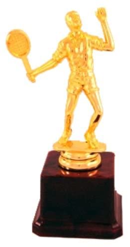 TROPHYwala Badminton Champion Trophy Metallic Fiber (Gold, 9 Inch -Height) (B09JP4RGP1) Amazon Price History, Amazon Price Tracker