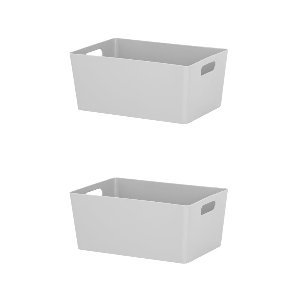 Aurora-Studio Basket 4.02 Rectangular Office Home & Kitchen Tidy Organiser 25.5 x 17 x 11cm (Pack of 2) (Cool Grey)