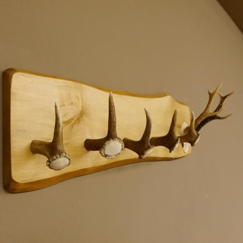 GTK - Geweihe & Trophäen KRUMHOLZ Geweih Garderobe mit 5 Haken aus Hirschspitzen Hirschrose auf Holzbrett Rehgeweih Wandgarderobe Unikat 27.8.96