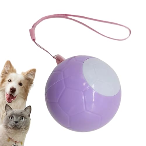 􂦂郊g[[ | 􂦂S[[ - S֌gю | ԓ\t@ƒp