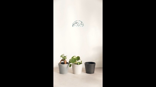 Amazon.co.jp: ECOPOTS Amsterdam 植木鉢 6号 おしゃれ 軽い 鉢 鉢