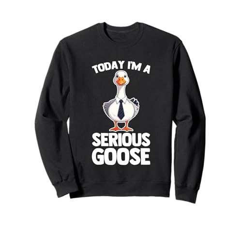 Today I'm A Serious Goose - �ʔ������t�Ŕ���ȃm�x���e�B �g���[�i�[