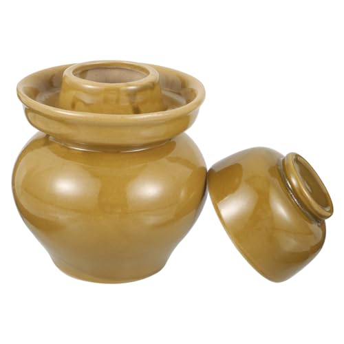 Gatuida Barattolo Sottaceti in Ceramica da Contenitore Alimentare Ermetico in Ceramica per Cucina Vaso Sigillato Resistente e Sicuro per Conservazione Spezie e Fermentazione