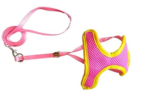 Dog Trust Adjustable Soft Mesh Comfort Padded Vest Harness for Small Dogs, Cat, Puppies 10 MM Nylon Leash - Color May Vary (B09TJ246GG) Amazon Price History, Amazon Price Tracker