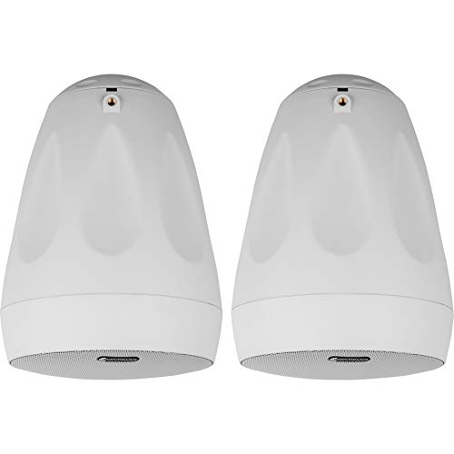 Dayton Audio WP65BTW 6-1/2