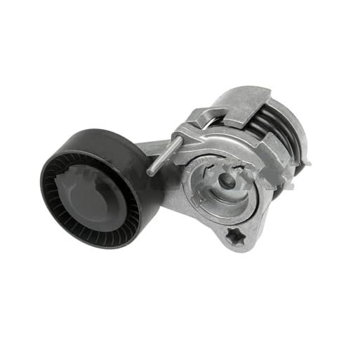 Tendeur automatique de courroie N52 pour BMW X3 E83 E63 E64 11288624196
