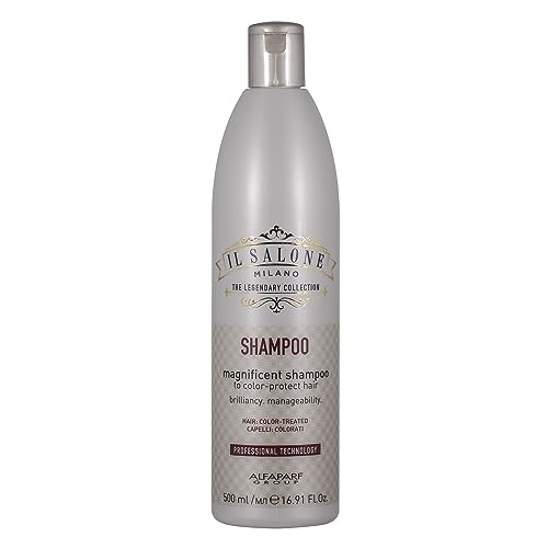 Alfaparf Shampoo A Secco - 500 Ml