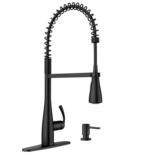 Moen Essie Matte Black Pulldown Faucet