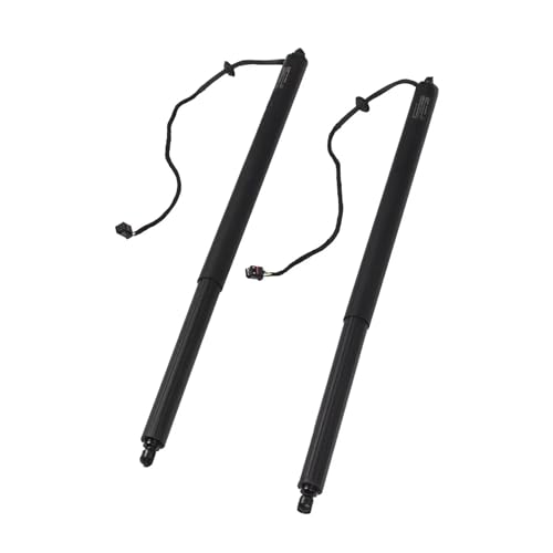 Support hayon électrique pour Infiniti QX50 2019-2020 Vérins à gaz arrière 905605NA0B x2