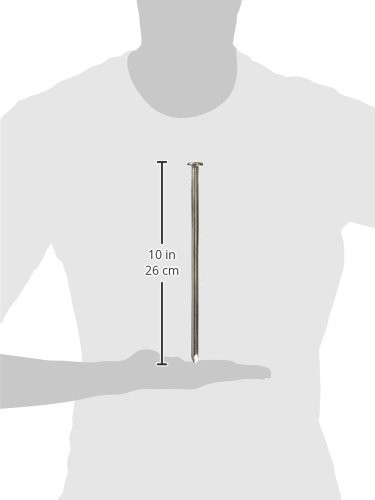 Clavo National Nail modelo 53275, cabeza plana, 10 pulgadas, acabado brillante, con cuerpo liso, para madera miniatura 3