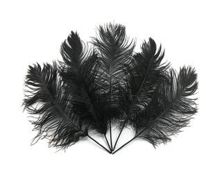Special Sale 25 Pcs. Black Ostrich Feathers Wholesale Bulk 13/16