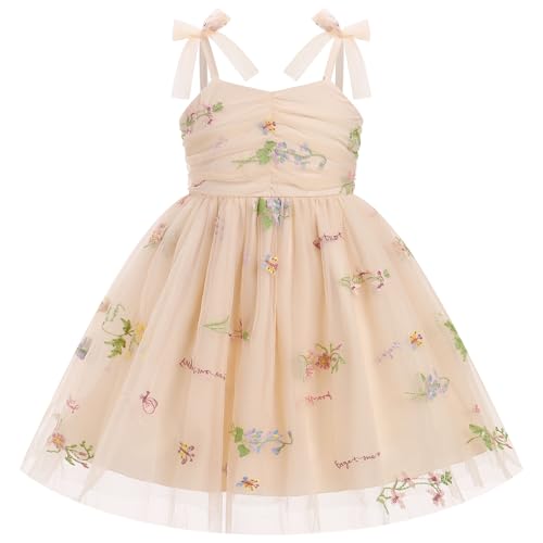 IMEKIS Fairy Dresses for Girls: 1st 2nd Birthday Cake Smash Graduation Kids Baby Smocked Easter Dress Toddler Tea Party Flower Girl Wedding Guest Formal Pageant Tutu Tulle Apricot Floral 12-18 Months