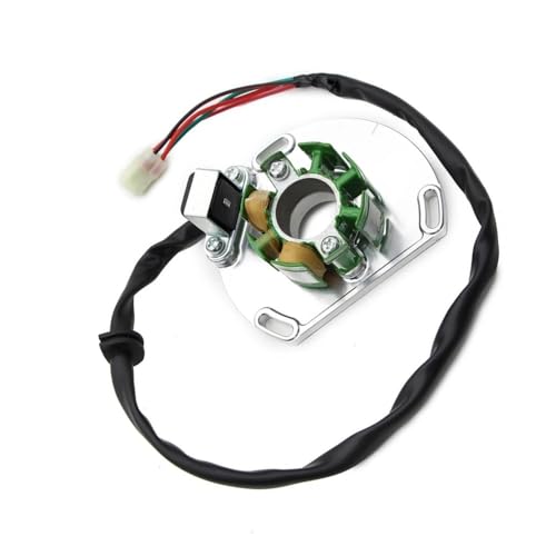 Bobine de stator de générateur de moto pour SXS 125 et TC 250