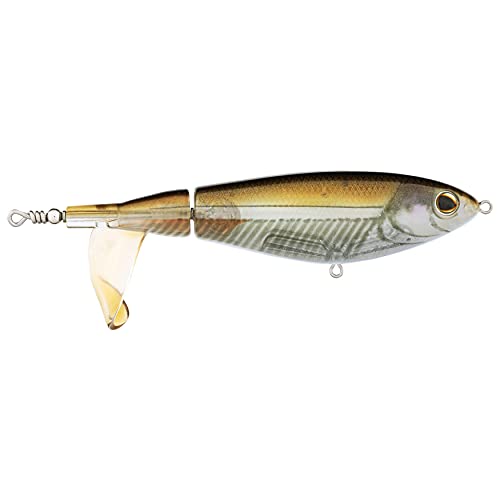 Berkley Choppo Saltwater leurre rigide de surface mer topwater