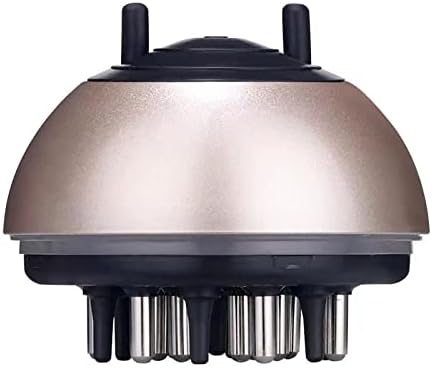 فرشاة تصفيف الشعر ومشط لتدليك فروة الرأس والعناية بجذور الشعر، مناسبة لمختلف العلامات التجارية لترميم الشعر، زيت أساسي، دليل سائل (ذهبي الشمبانيا