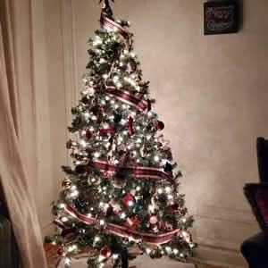 YASENN Christmas Tree Lights Mains Powered 30m 300LED Outdoor Fairy String Lights Connectable Waterproof 8 Modes and Timer for Outside Indoor Xmas Decorations Garden Party Wedding(Cool White)