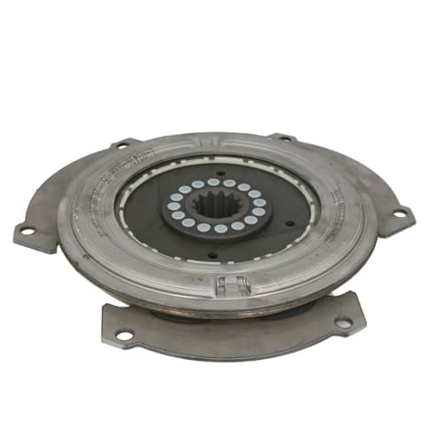 Ammortizza Torsione, Frizione Luk 370 0034 10 - 2