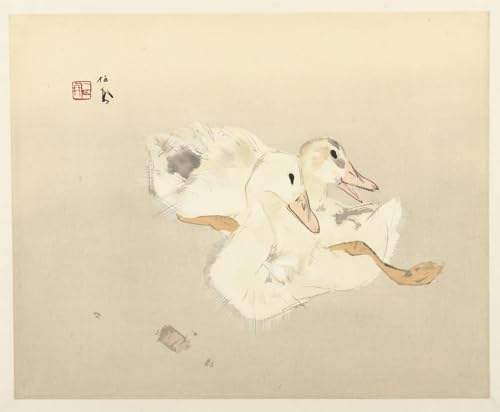 Tableau Impressions d'art Mural Jonge Eenden Takeuchi Seiho Décoration Chambre 60x90cm