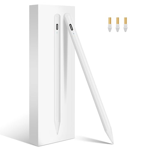 Penna Stilo per iPad (2018-2024) con Ricarica Rapida e Palm Rejection