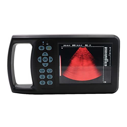 Máquina de ultrassom portátil veterinário, scanner portátil veterinário 256 FPS gravação de vídeo co