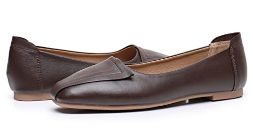Venuscelia Women's Plain Dance Flats Shoe (8 M Us,Brown) #TOP4