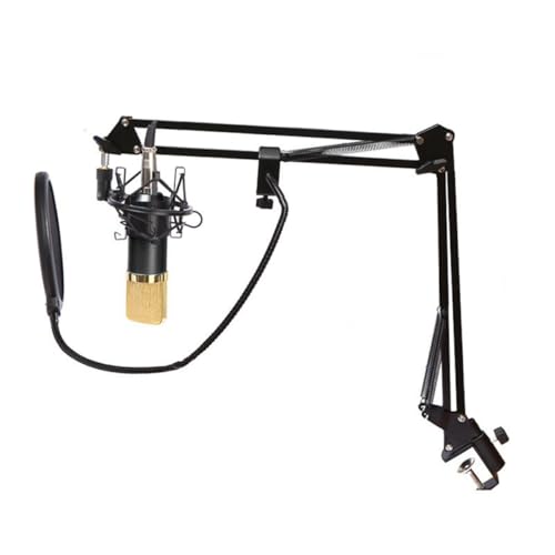 LRXIYODE radiodifusión de Estudio USB Condensador Pararse Acoustic Guitar Ordenador ordenatriz Estación de Radio micrófono Equipo de Estudio Black
