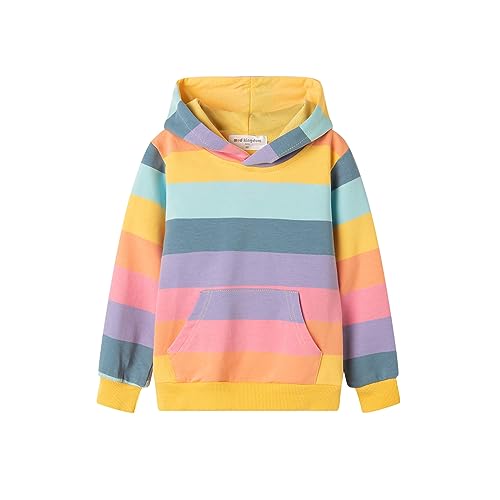 Mud Kingdom Toddler Girls Hooded Sweatshirt Long sleeve Pockets Pullover Hoodie Fashion Printed Colorful Stripes 3T