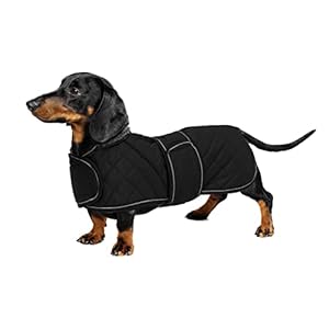 Geyecete Warm Thermal Quilted Dachshund Coat, Dog Winter Coat with Warm Fleece Lining, Outdoor Dog Apparel with Adjustable Bands for Small,Medium, Large Dog -Black-M