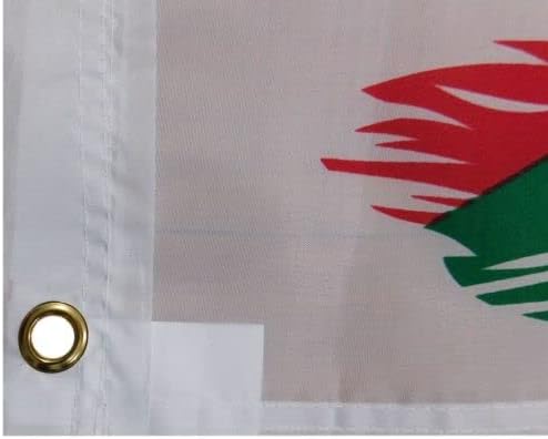 Miniatura 3 de Flakita's Novelties - Bandera de nailon 68D con ojales, 3 x 5 pies, Virgen María, México, Virgen, María, Nuestra Señora de Guadalupe