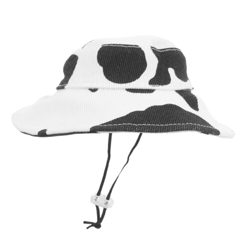 Healifty  Xq  ȓ Xq  pt@bVANZT[ B