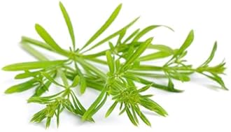 Cleavers herb - Galium aparine Dried Leaf C/S from 100% Nature (2 oz)