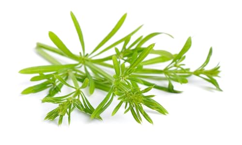 Cleavers herb - Galium aparine Dried Leaf C/S from 100% Nature (2 oz)