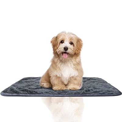 NeuWook Premium Dog Blanket, Soft and Waterproof Pet Throw for Cats, Fluffy Pee Proof Pet Blanket for Couch Bed Protection Washable, Pet Mat for Small Medium Large Dogs and Cats, Gray (60×80cm)