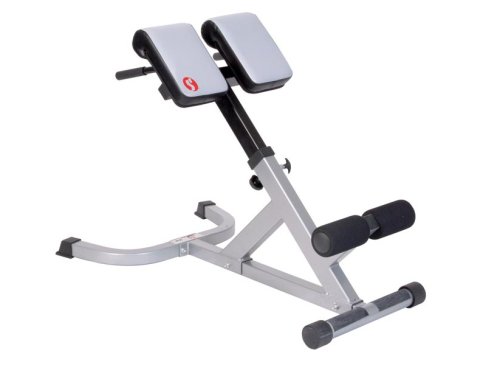 Strength Trainer 45 Degree Hyperextension