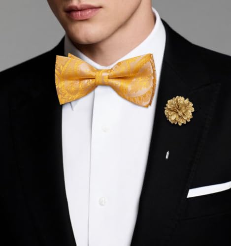 Image of Mens Paisley Striped Bowtie Set Pre-tied Bowtie for Men and Pocket Square Set Wedding Business