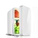YUTGMasst Mini Refrigerador,Pequeña Neveras,Silencioso Refrigerador Cosmético con Cesta Almacenamiento Lateral-6L,para Maquillaje Y Cuidado De La Piel, Automóviles Casa Bar Congelador(AD/DC),12V