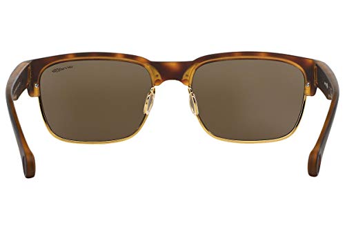 Arnette Dean AN4205 21527D Sunglasses, Havana Frame 59mm w/Gold/Brown Lens4
