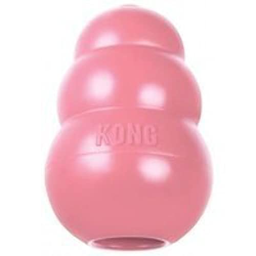 KONG Rose Dog Toy