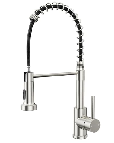 Rainsworth Wasserhahn Küche Edelstahl Herausziehbare - Zwei...