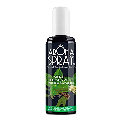 Aromaspray N° 5 Menthe - Eucalyptus 100 Ml