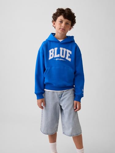 Image of GAP Boys' Get Blue Hooded Pullover