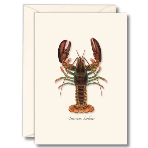 Image of Earth Sky + Water - Lobster Notecard Set - 8 Blank Cards with Envelopes
