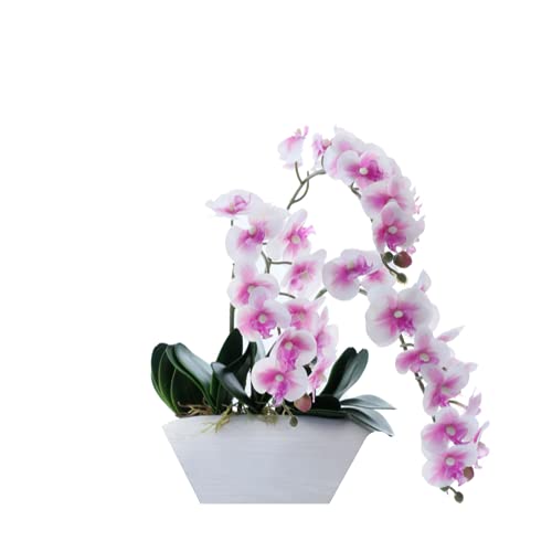 8 Pcs Tropical Artificial Phalaenopsis Orchids Leaves,7.5" Butterfly Orchid 4 Leaf Bunch And Fibrous Roots,Cymbidium Flower Foliage,Faux Leaf Arrangement For Flowers Garden Bonsai Decor Green #TOP4