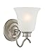 Designers Fountain 96901-MTP Montego - One Light Wall Sconce, Matte Pewter Finish with Frosted Glass