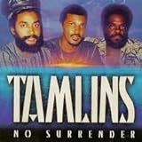No Surrender [Vinyl]